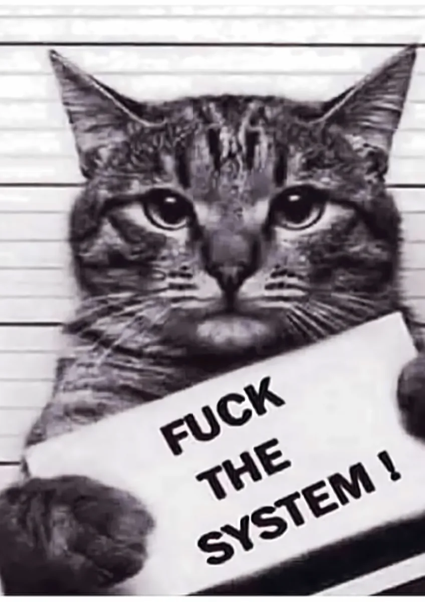 Cat Mugshot Fuck The System Poster